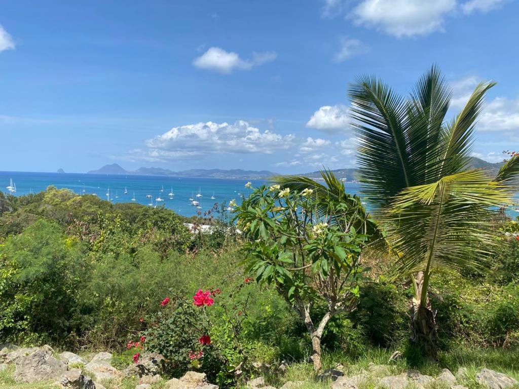 Superbe Appartement Vue Sur Mer Sainte-Anne Luaran gambar